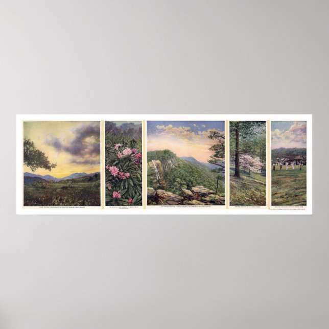 Póster Tierra Del Poster Del Cielo 1917 (Frente)