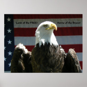 Póster Tierra del poster libre