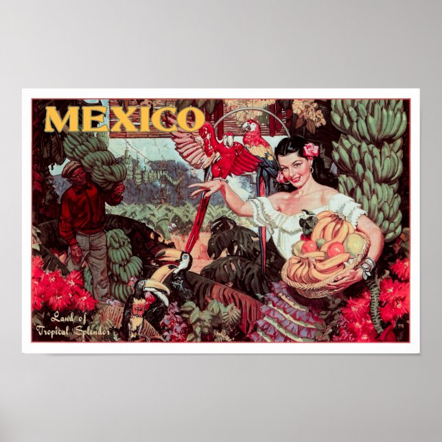 Póster TIERRA del SPLENDOR TROPICAL MÉXICO c. 1950 (Frente)