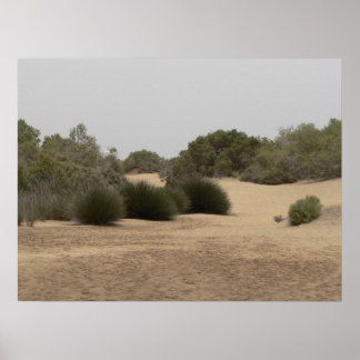 Póster Tierra desértica 1