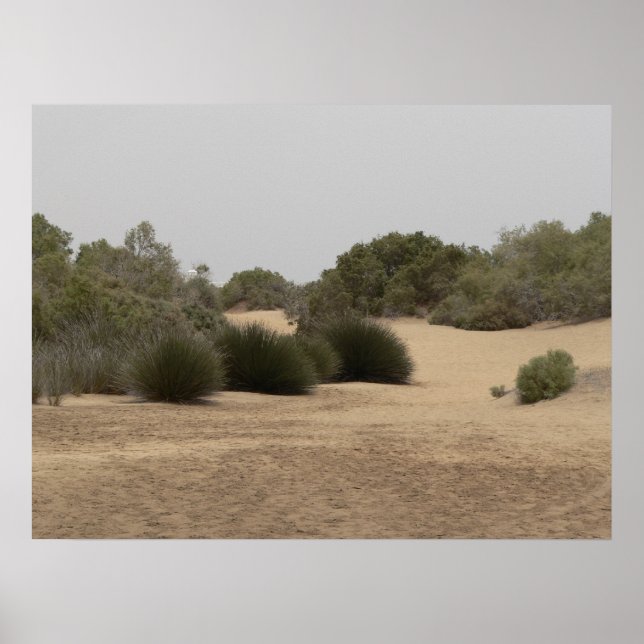Póster Tierra desértica 1 (Frente)