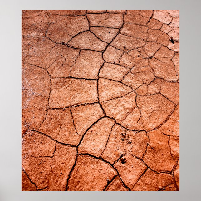 Póster Tierra seca (Frente)