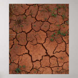 Póster tierra seca y agrietada
