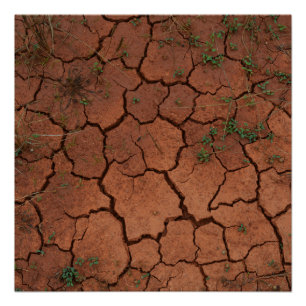 Póster tierra seca y agrietada