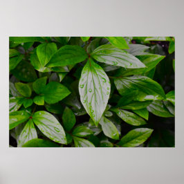 Póster Tierra verde,