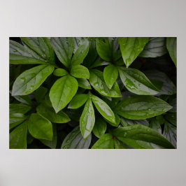 Póster Tierra verde,