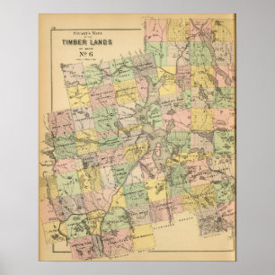Póster Tierras 6 de la madera
