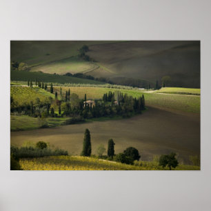 Póster Tierras de cultivo alrededor de Montepulciano, Tos