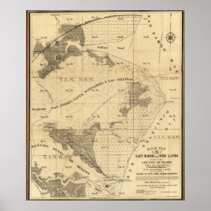 Póster Tierras del saladar y de la marea