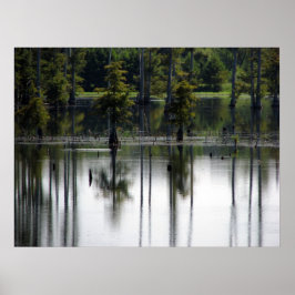 Póster Tierras pantanosas