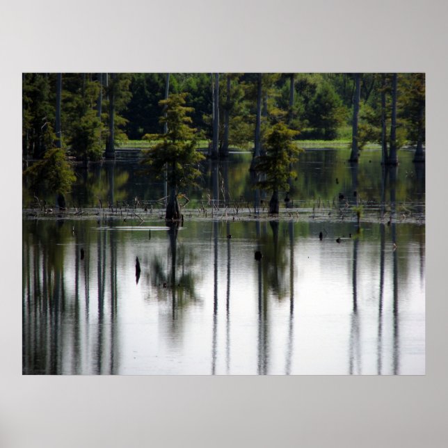 Póster Tierras pantanosas (Frente)