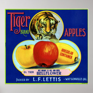 Póster Tiger Apples Watsonville California