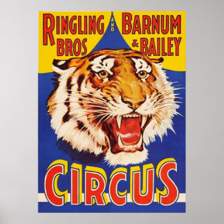 Póster TIGER Crecimiento Circo Ringling Bros Circus Anima