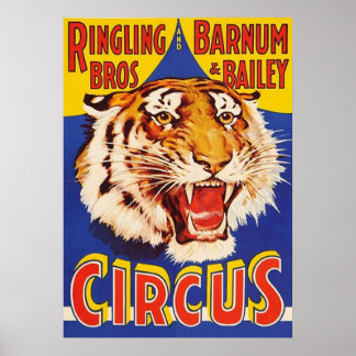 Póster TIGER Crecimiento Circus Ringling Bros Circus Anim