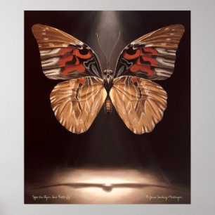 Póster Tiger Face Butterfly Poster