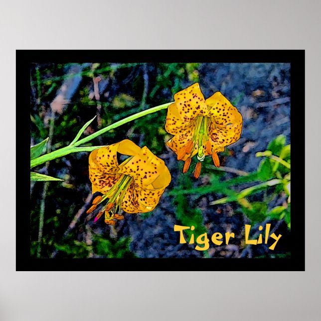 Póster Tiger Lily (Frente)