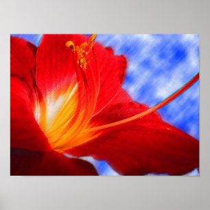 Póster Tiger Lily "dibujar"