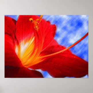 Póster Tiger Lily "dibujar"