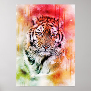 Póster Tiger Portrait Face Watercolor Graphic Art