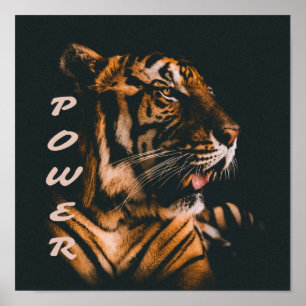 Póster Tiger Power Stripes Fierst Motivational