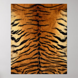 Póster Tiger Stripe Fur Print