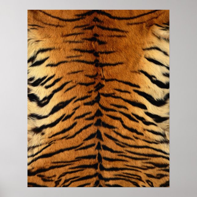 Póster Tiger Stripe Fur Print (Frente)