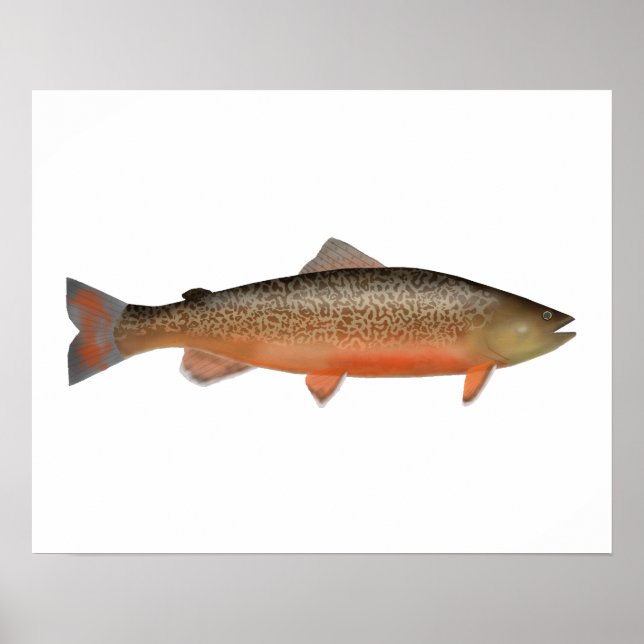 Póster Tiger Trout (Frente)