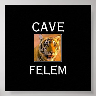 Póster TIGERBeware Of The Cat - In Lati.... - Customized