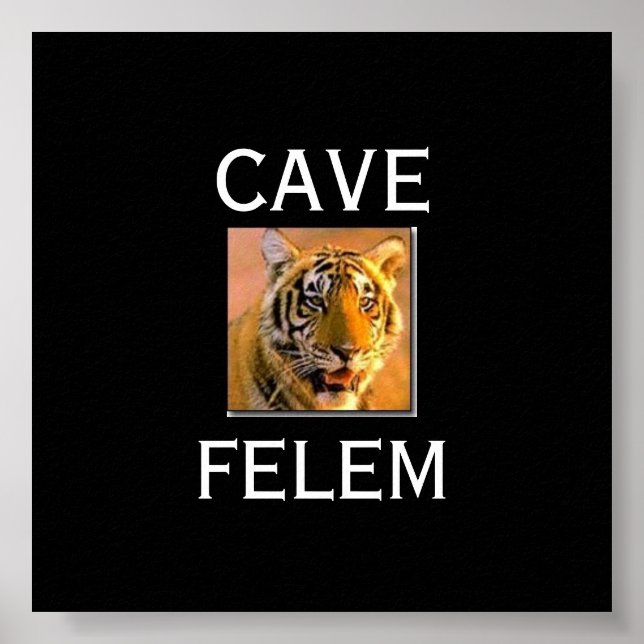 Póster TIGERBeware  Of The Cat - In Lati.... - Customized (Frente)