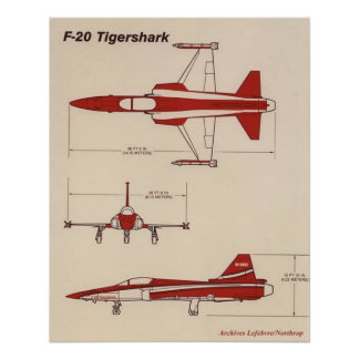Póster tigershark f20