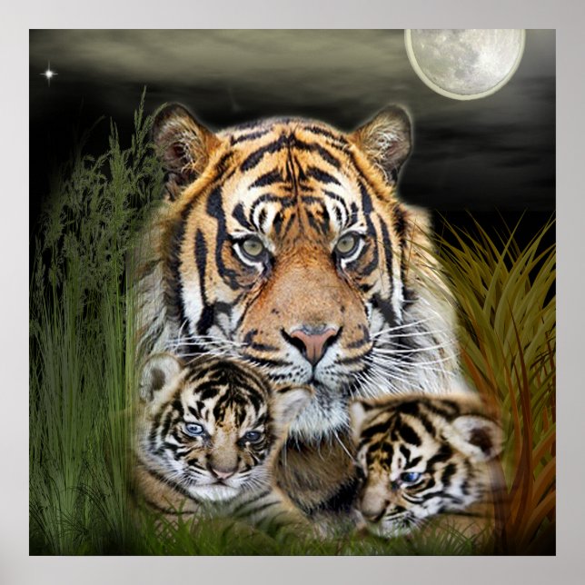 Póster Tigre (Frente)