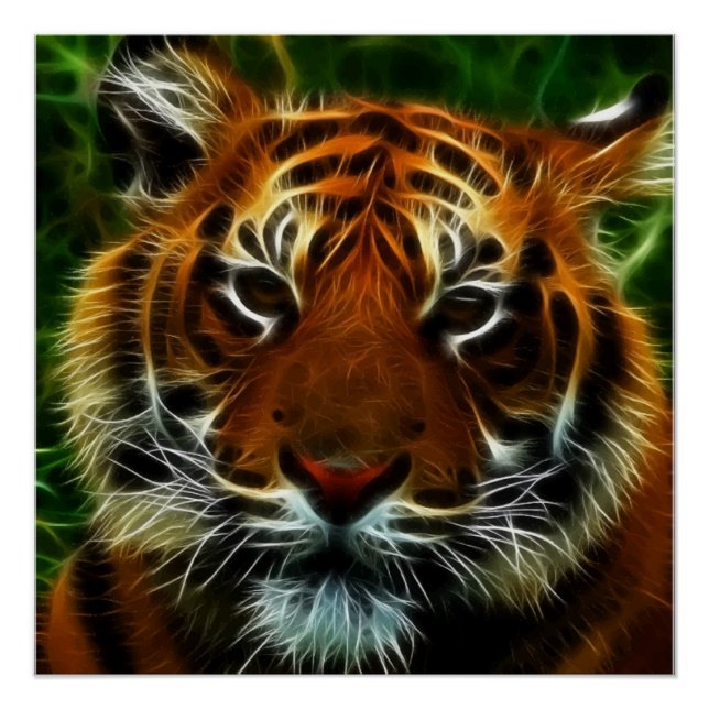 PÓSTER TIGRE (Anverso)