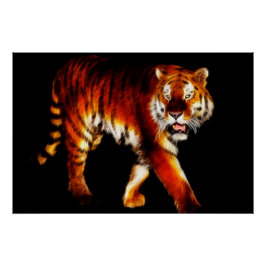 Póster Tigre