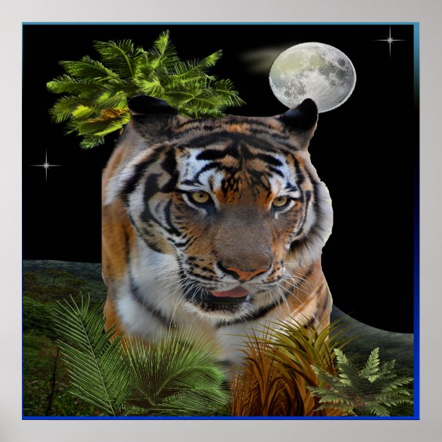 Póster Tigre (Frente)
