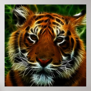 PÓSTER TIGRE