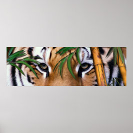 Póster tigre