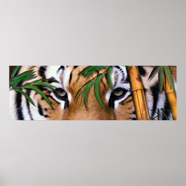 Póster tigre (Frente)