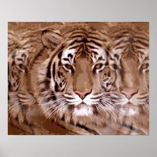 Póster Tigre (Frente)