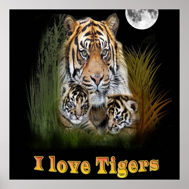 Póster tigre (Frente)