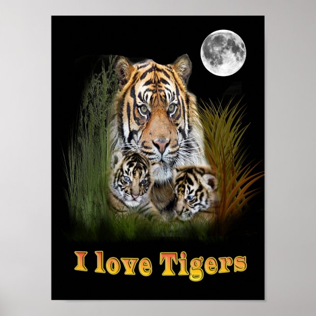 Póster tigre (Frente)