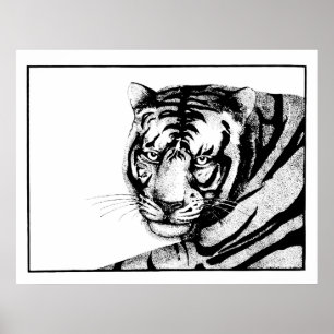 Póster Tigre