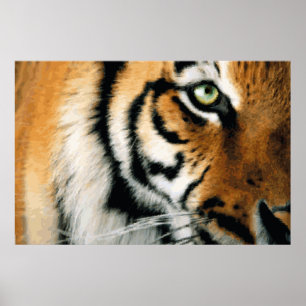 Póster Tigre 2 - Poster