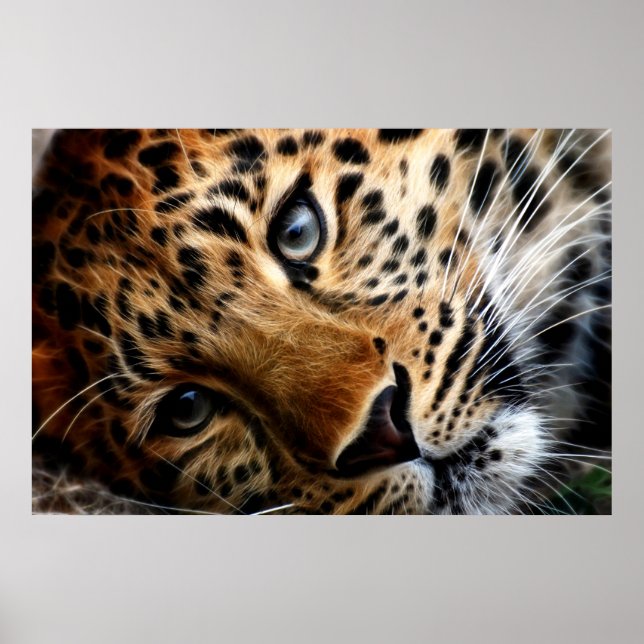 Póster Tigre 3 - Poster (Frente)