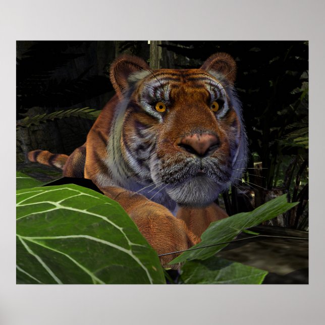 Póster Tigre agachándose en la selva (Frente)