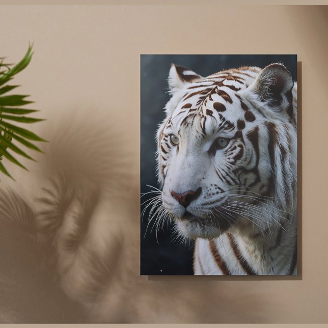 Póster Tigre blanco (Subido por el creador)