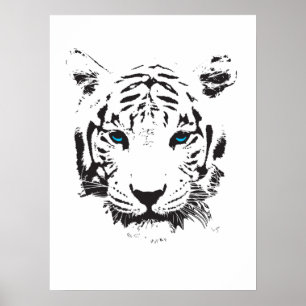 Póster Tigre blanco con los ojos azules