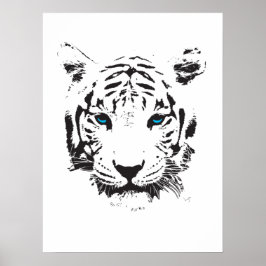 Póster Tigre blanco con ojos azules