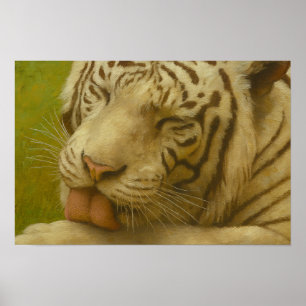Póster Tigre blanco en ritual de cultivo privado