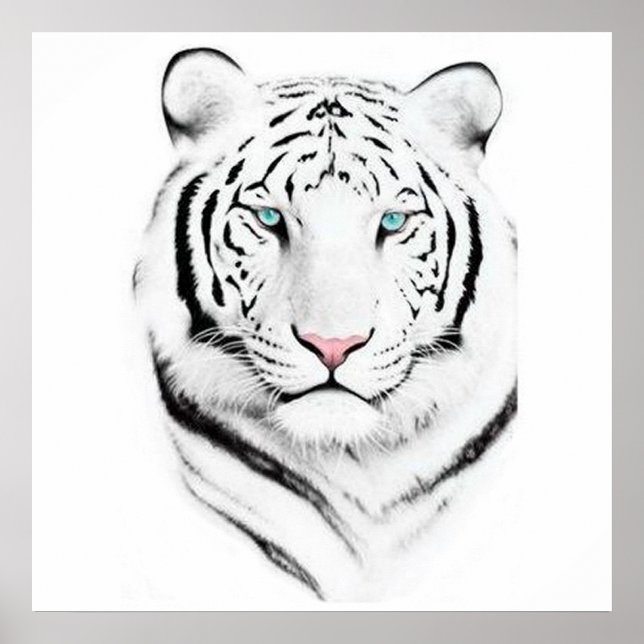 Póster Tigre blanco siberiano (Frente)