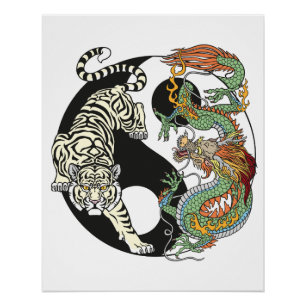 Póster Tigre blanco versus dragón verde en Yin yang p